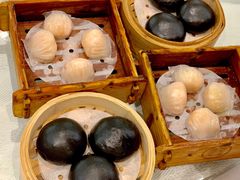 -金翠皇宫粤菜·点心·海鲜(科技园店)