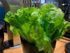 -九田家黑牛烤肉料理(新光汇店)