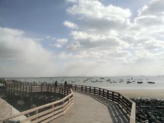 -烟台海昌鲸鲨海洋公园