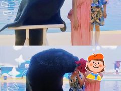 -秦皇岛乐岛海洋王国