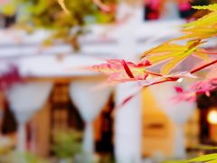 -上海老站(徐家汇店)