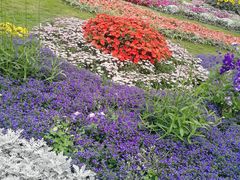 -深圳仙湖植物园