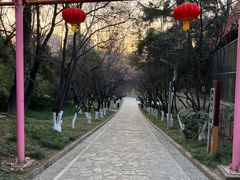 -西安市长乐公园