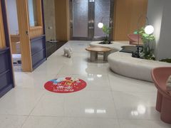 -帕帕拉兹宠物(亚洲旗舰店)