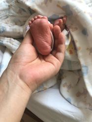 -上海市嘉定区妇幼保健院