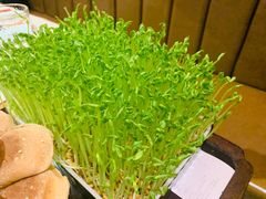 -捞神汤物料理(正大广场店)