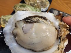 -菊上日式料理(蚌埠银泰店)
