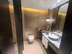 -新加坡瑞士史丹福酒店