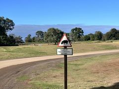 -威勒比开放式动物园