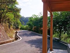 -火炉山森林公园