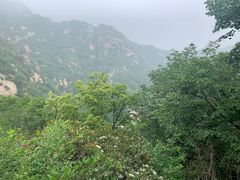 -大岭沟猕猴桃谷风景区