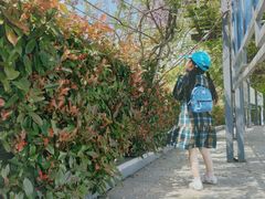 -金沙湖旅游度假区