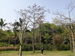 -云溪植物园