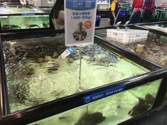 -盒马渔市餐厅