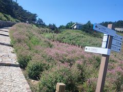 -长岛南北长山旅游景区