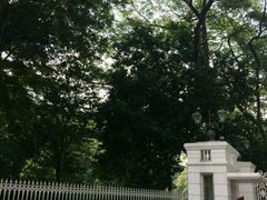 -武吉知马自然保护区