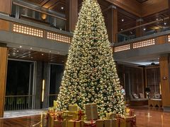 -日落吧·海景咖啡厅·餐酒吧·鸡尾酒·下午茶·乐队表演·浪漫夕阳·三亚文华东方酒店