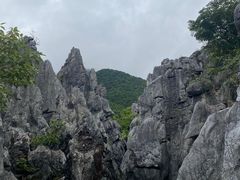 -千岛湖石林