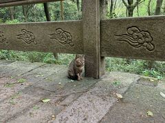 -普陀山慧济禅寺