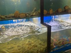 水产区-老东镇啤酒屋海鲜加工·蒸汽海鲜·海鲜烧烤(台东店)