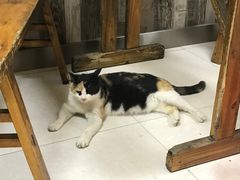 -南湖周冒菜(南湖总店)