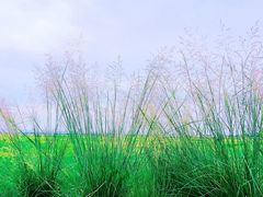 -敕勒川草原文化旅游区