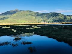 -腾冲北海湿地