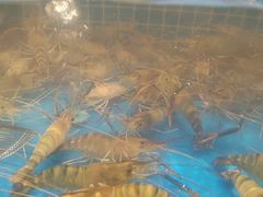 -初色海鲜自助(万丰路店)