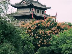 -罔极寺