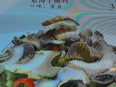 -赶海部落海鲜城(海阳路店)