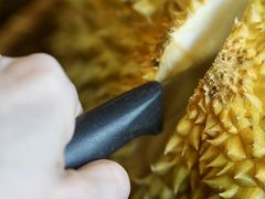 -百果园PAGODA(应元路店)