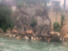 -龙佳生态温泉山庄