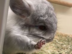 -龙猫仔乐园(惠福东路店)