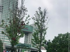 -湖南广电中心大楼