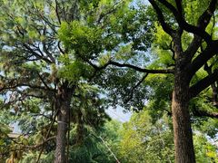 -上海兴国宾馆香樟园西餐厅