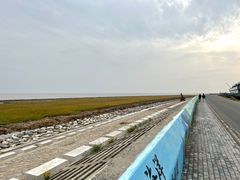 -南汇嘴观海公园