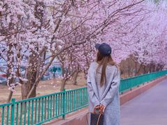 -知春路(地铁站)