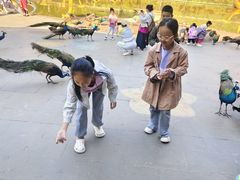 -西双版纳原始森林公园