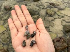 -三亚西岛海洋文化旅游区