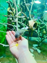 -Zoolung Zoolung动物主题公园(海信广场店)