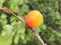 -蟠龙山长城景区