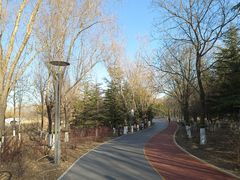 -大兴滨河森林公园