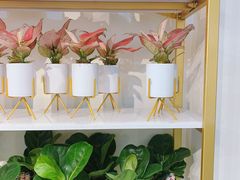 -花未央花店·WEYOUNG