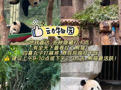 -大虎老火锅(直港大道店)
