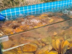 -坛南湾阿强农家乐.海鲜大排档老字号(福州地标美食店)