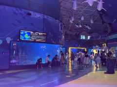 -烟台海昌鲸鲨海洋公园