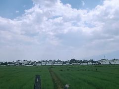 -喜林苑·稻田餐厅(品相府店)