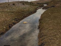 -青海湖国家重点风景名胜区售票处