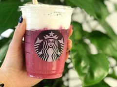 火龙果番石榴茶云乌龙-星巴克臻选(上海中环广场2F店)