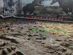 -诸城市恐龙博物馆